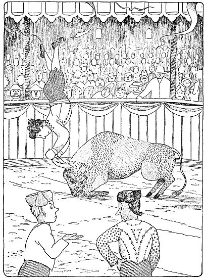 Doctor doing handstand on bull