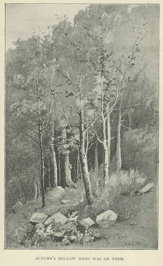 281.jpg Autumn