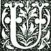 ORNAMENTAL CAPITAL 