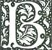 ORNAMENTAL CAPITAL 