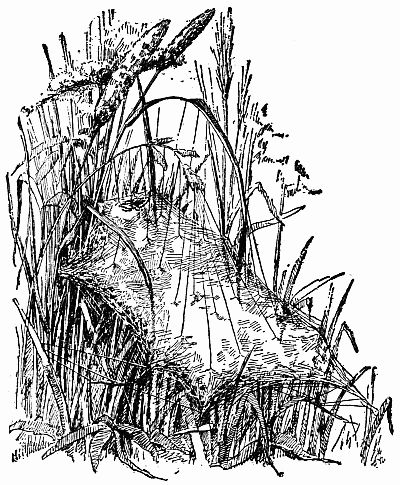 Fig. 102.—