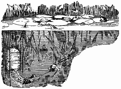 Fig. 106.—Pipe
