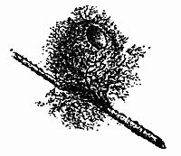 Fig. 112.—