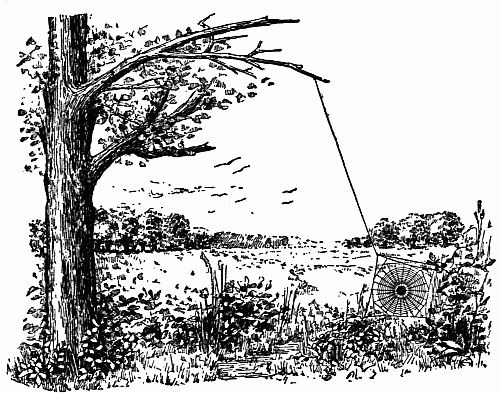 Fig. 129.—