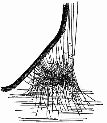 Fig. 144.—