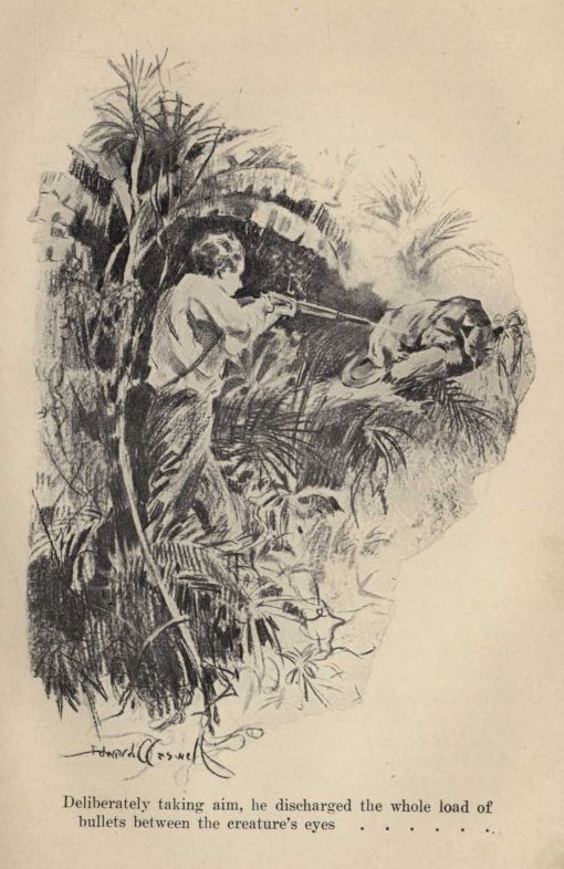 Deliberately taking aim, he discharged the whole load of bullets between the creature
