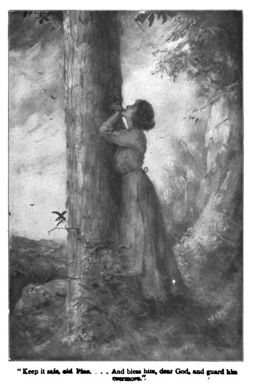 Keep It Safe Old Pine, Frontispiece