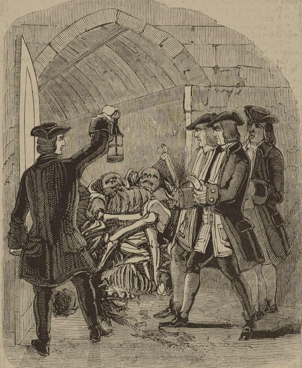 Todd