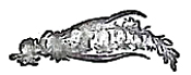 image068