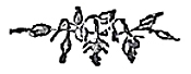 image077